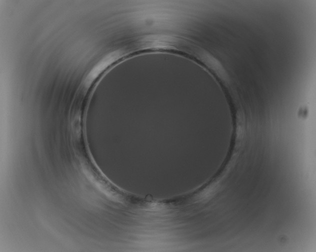X0000112831226200908211209