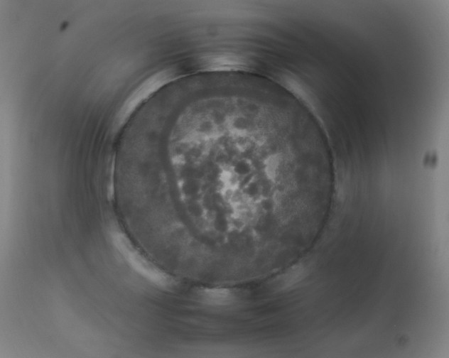 X0000112831227200908211209