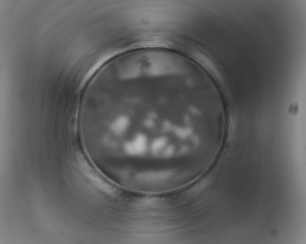 X0000112831228200908211209