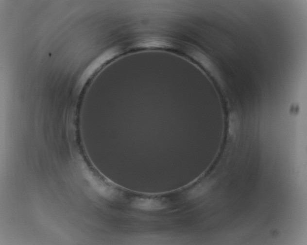 X0000112831229200908211209