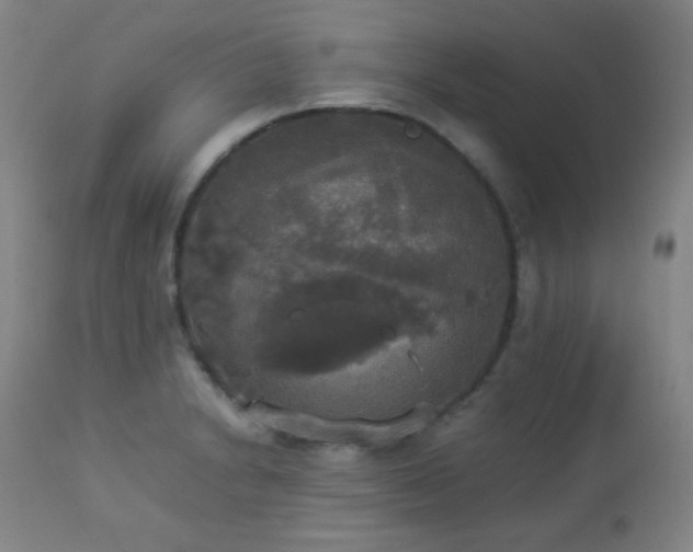 X0000112831230200908211209