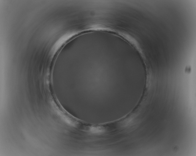 X0000112831231200908211209
