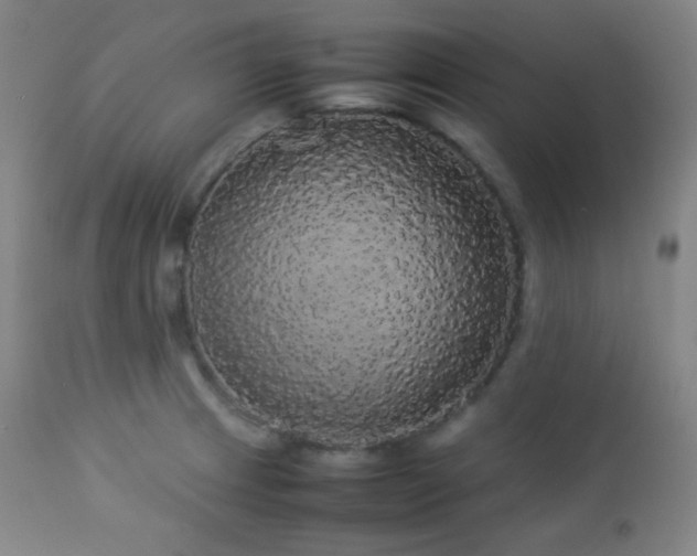 X0000112831233200908211209