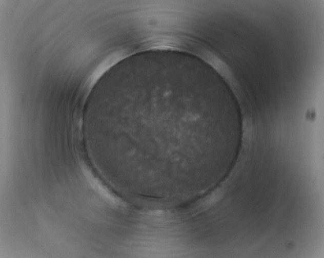 X0000112831234200908211209