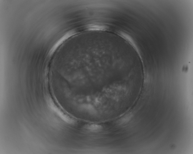 X0000112831235200908211209