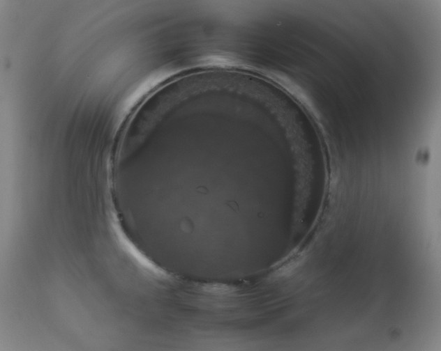 X0000112831239200908211209