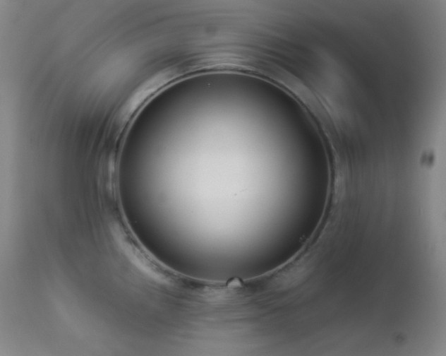 X0000112831242200908211209