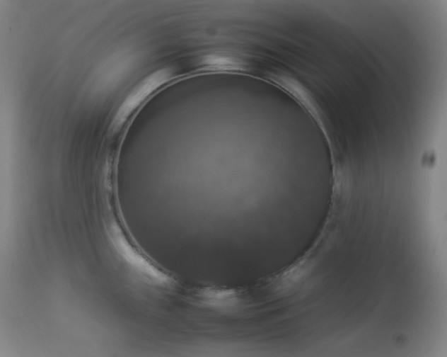 X0000112831243200908211209