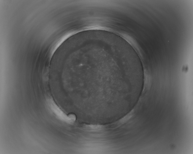 X0000112831244200908211209