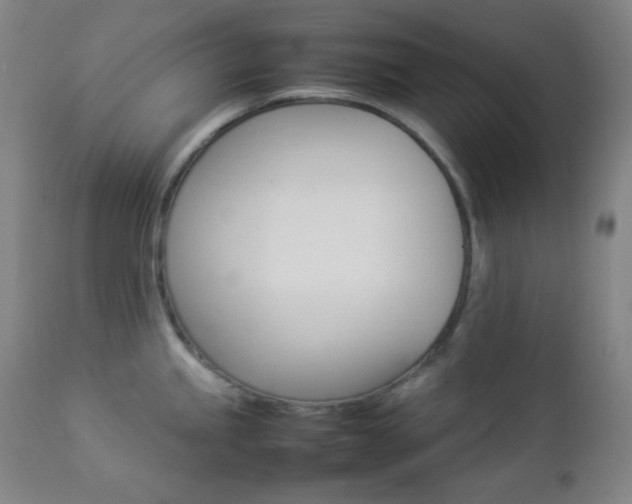 X0000112831245200908211209