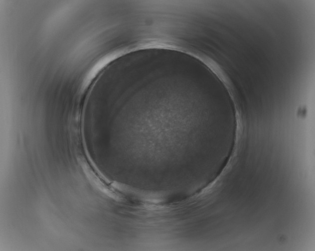 X0000112831246200908211209