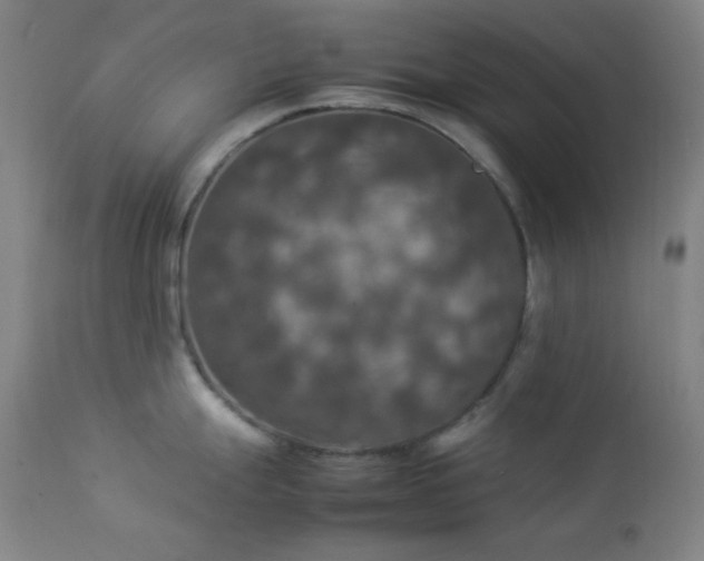 X0000112831247200908211209