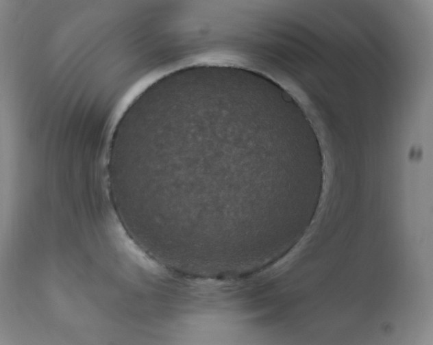 X0000112831248200908211209