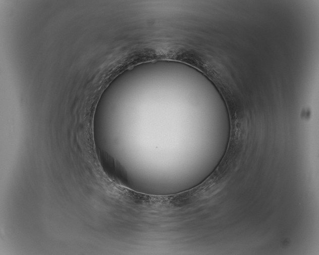 X0000112831249200908211208