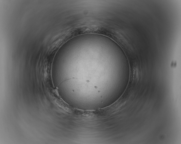 X0000112831250200908211208
