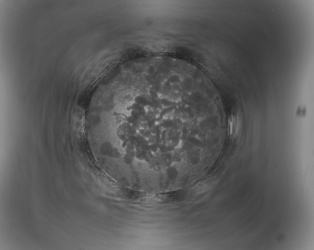 X0000112831251200908211208