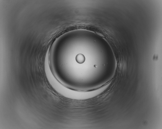 X0000112831252200908211208