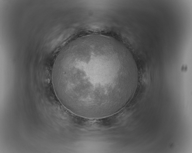 X0000112831253200908211208
