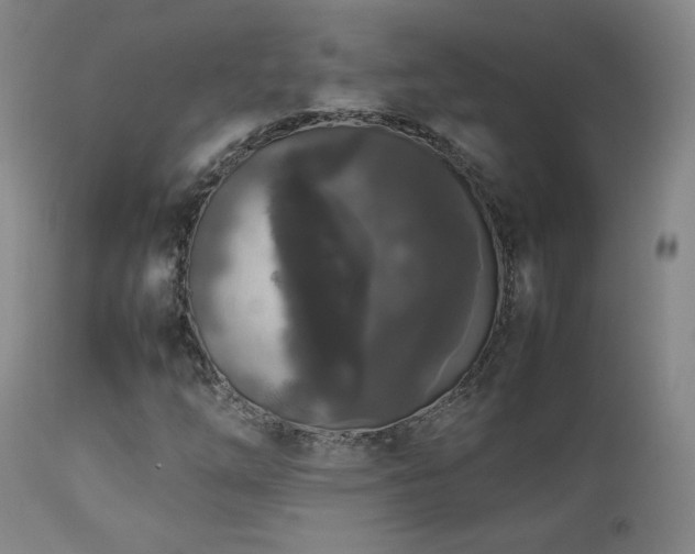 X0000112831254200908211208