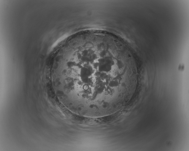 X0000112831255200908211208