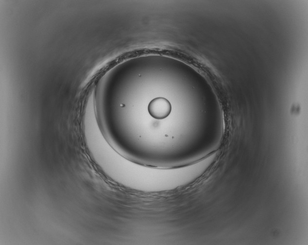X0000112831256200908211208