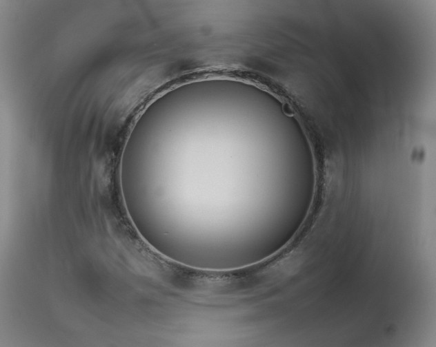 X0000112831257200908211208
