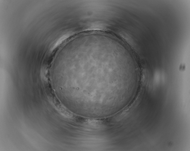 X0000112831258200908211208