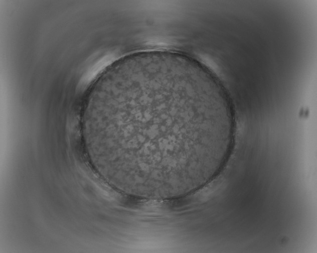 X0000112831259200908211208