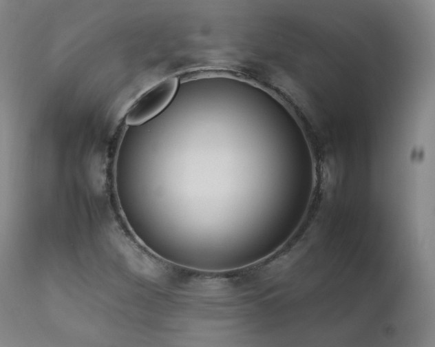 X0000112831260200908211208