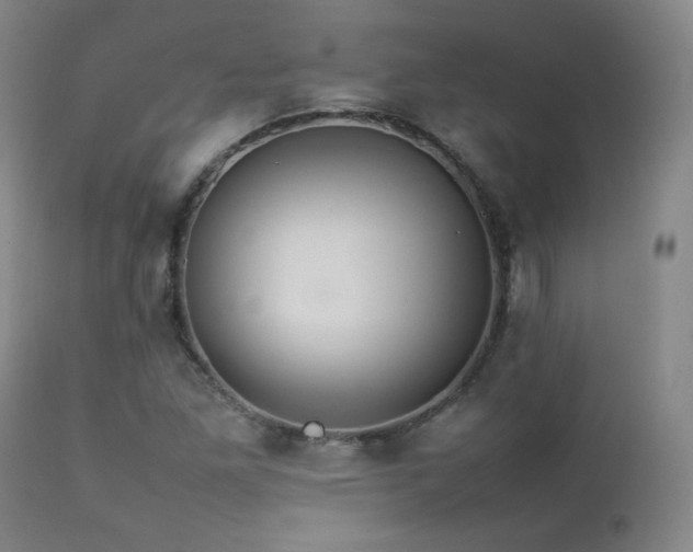 X0000112831261200908211208