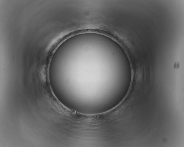 X0000112831262200908211208