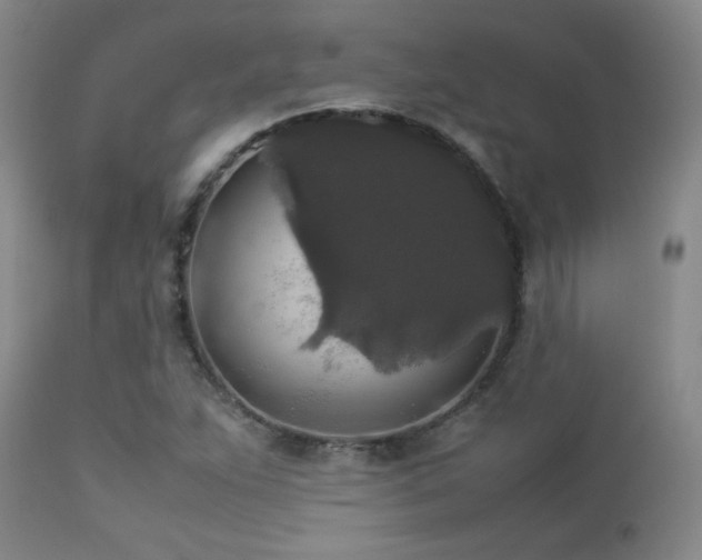 X0000112831263200908211208