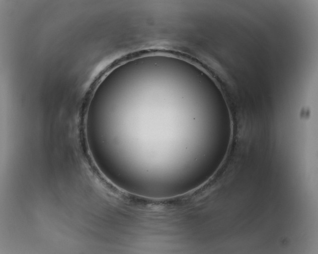 X0000112831264200908211208