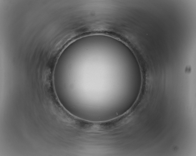 X0000112831265200908211208