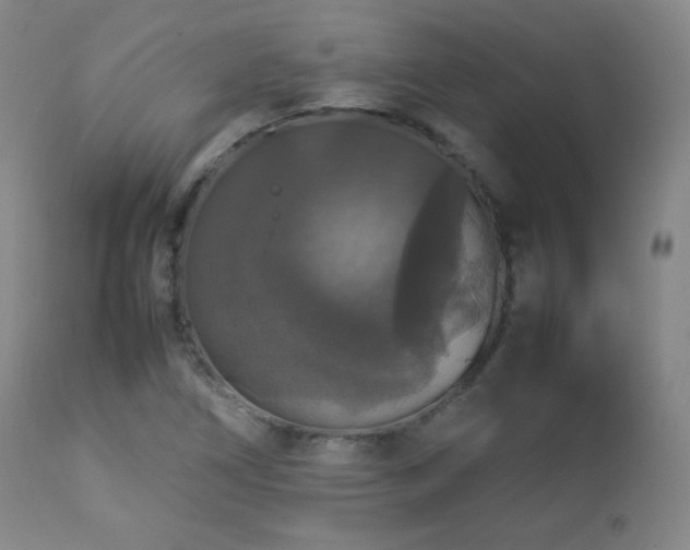X0000112831266200908211208
