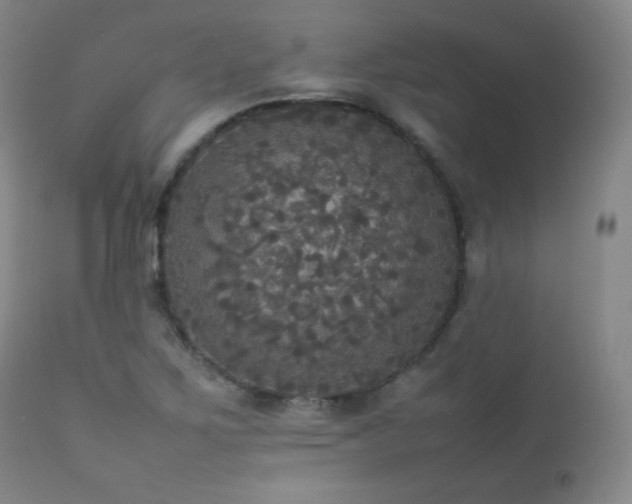 X0000112831267200908211208