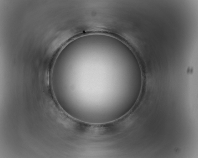 X0000112831269200908211208