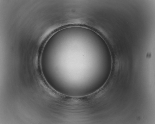 X0000112831270200908211208