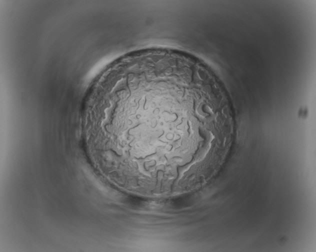 X0000112831271200908211208