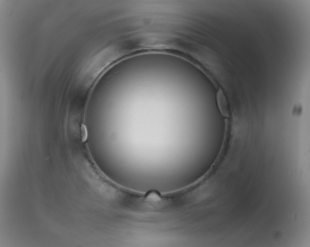 X0000112831273200908211208