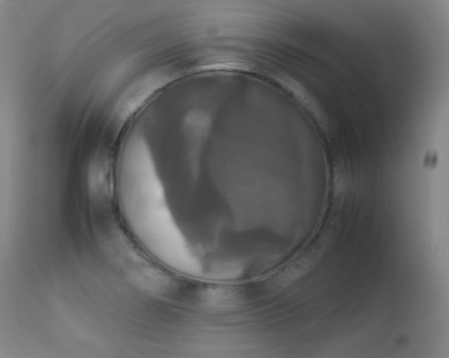 X0000112831274200908211208