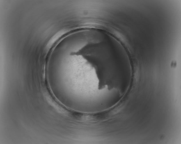 X0000112831275200908211208