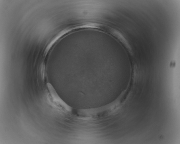 X0000112831276200908211208
