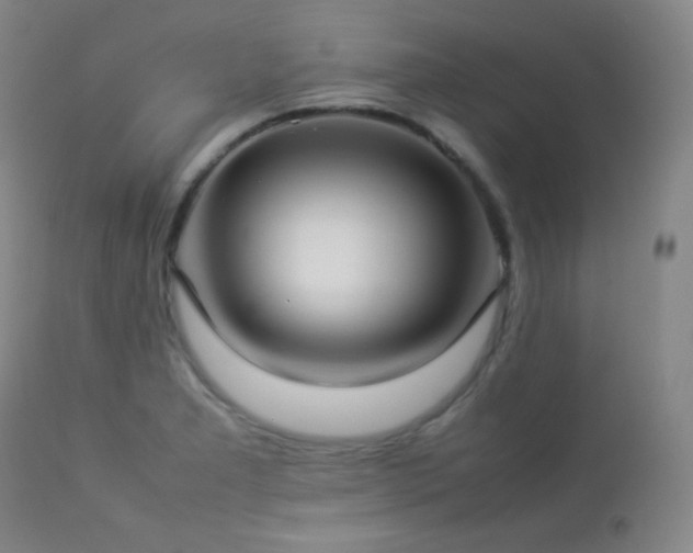 X0000112831277200908211208