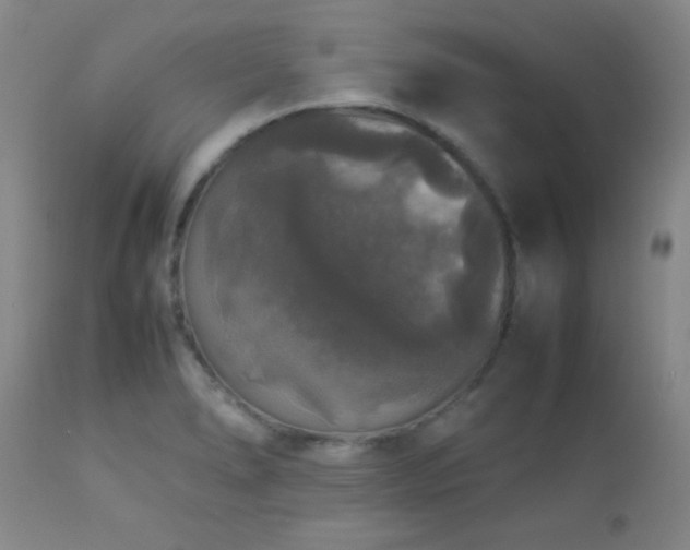 X0000112831278200908211208