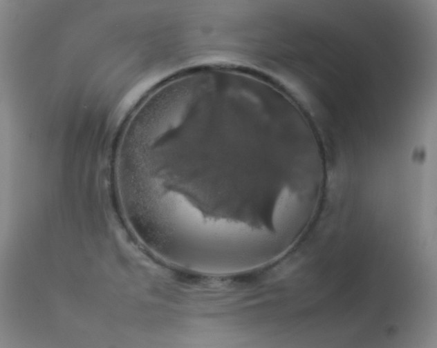 X0000112831279200908211208