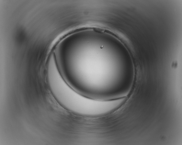 X0000112831280200908211208