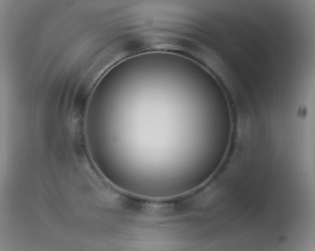 X0000112831281200908211208
