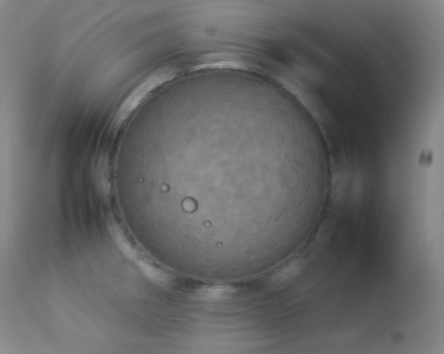X0000112831282200908211208