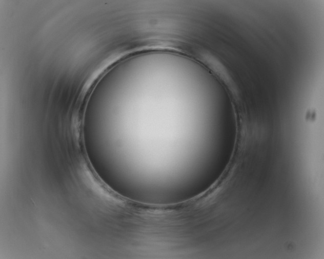 X0000112831284200908211208